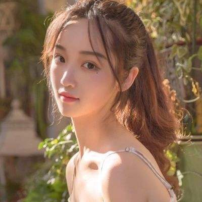 口袋妖怪日月中文破解版下载